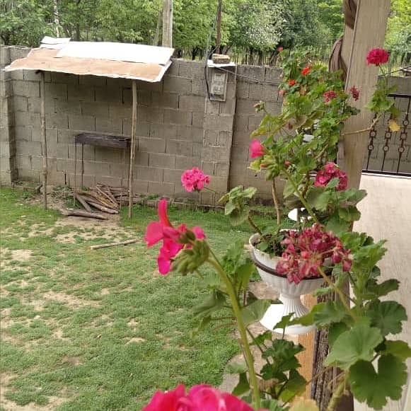 اجاره ویلا ماسال روستای تنیان